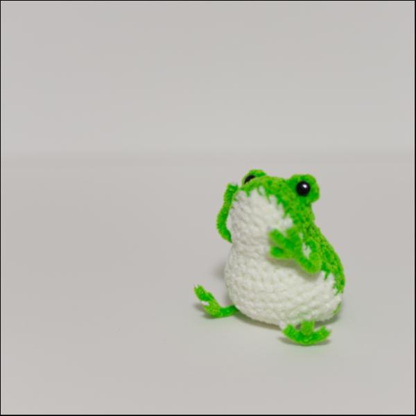 アマガエル(きみどり)