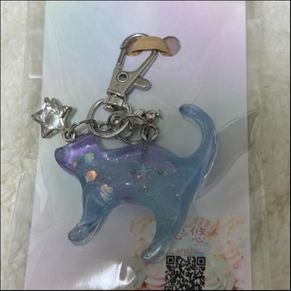 宇宙ネコチャーム