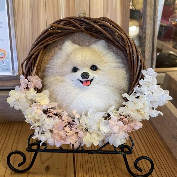 羊毛フェルト ポメラニアン プリザードフラワーリース
