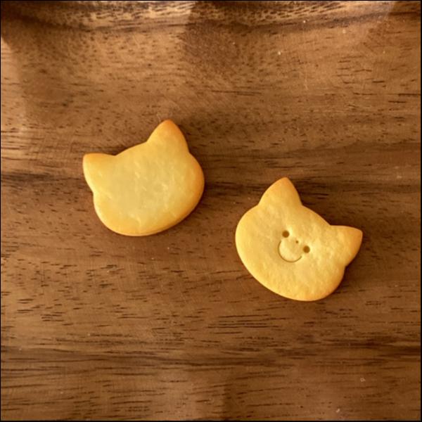 猫のクッキーマグネット(プレーンセット)PN
