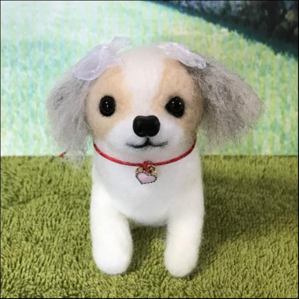 羊毛フエルト シーズー