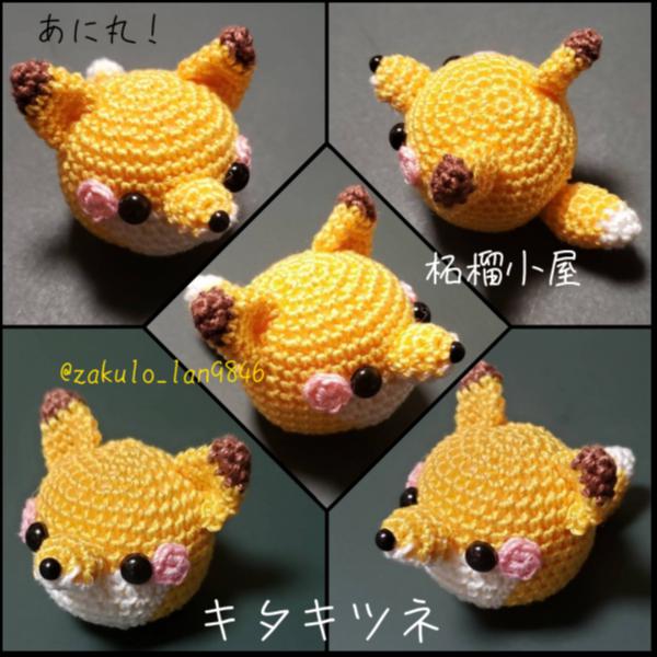 あに丸!キタキツネコンฅ^•ﻌ•^ฅコン