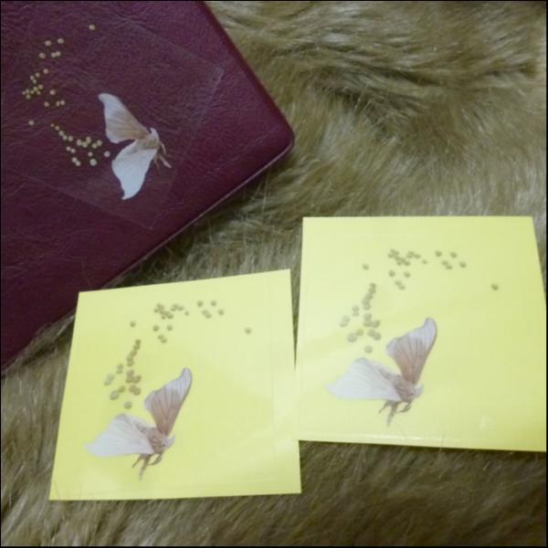 どこでも産卵ステッカー(2枚入)